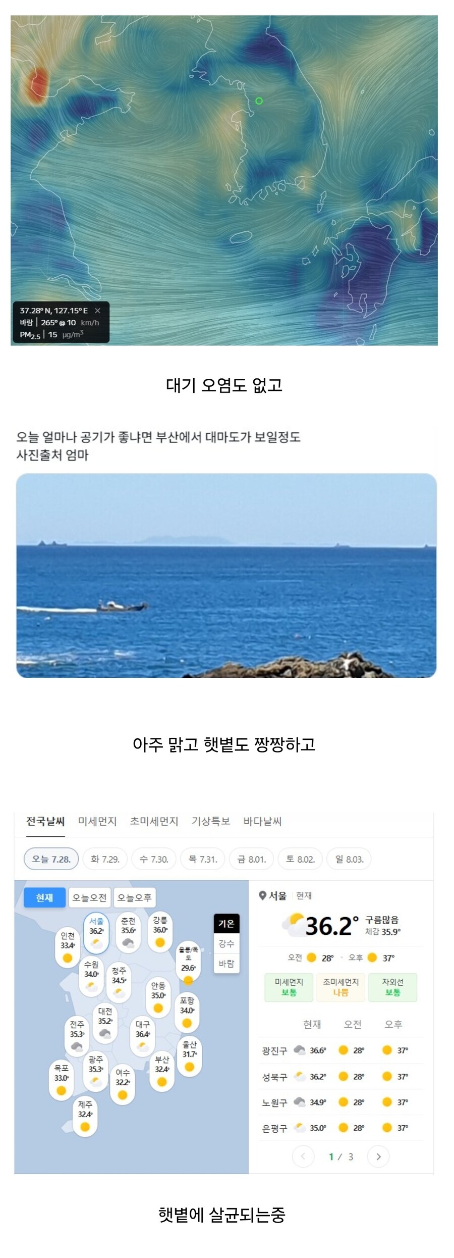 요즘 하늘 깨끗해서 보기 좋구만_1.jpg