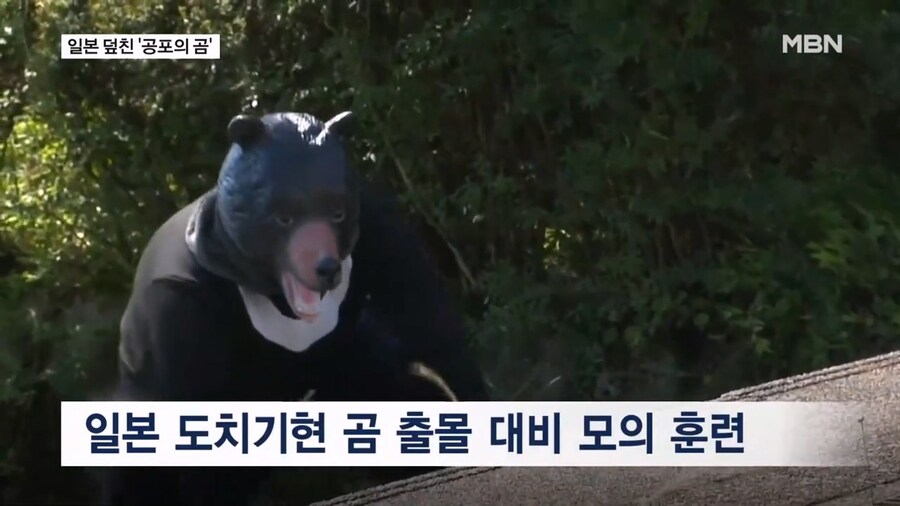 일본 곰 보험 상품 등장_6.jpg