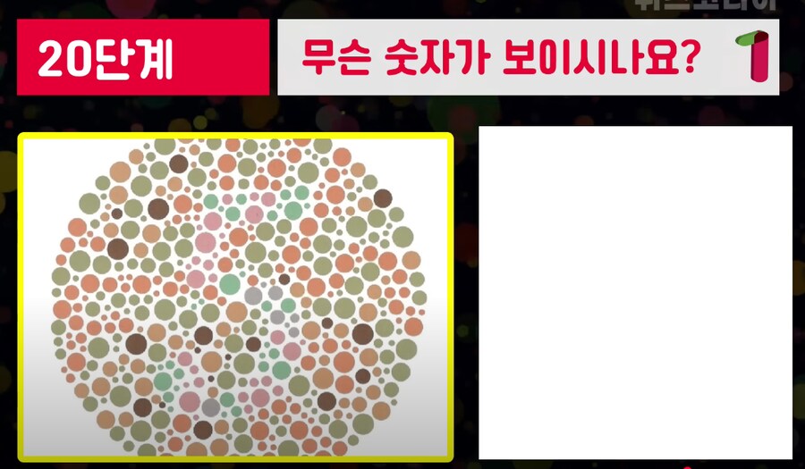 상위 1% 시각능력자만 맞춘다는 문제_1.png