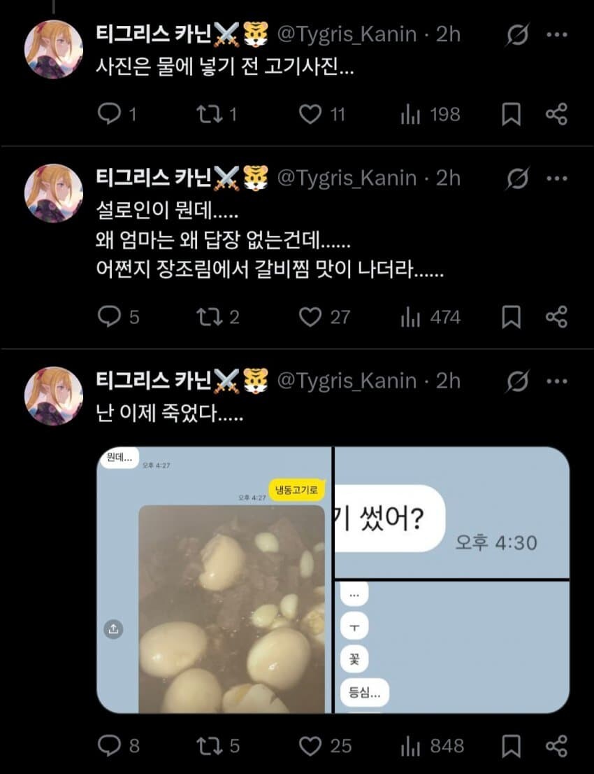 효녀가 되고 싶었던 버튜버_5.jpg