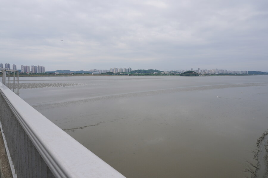 5월, 김포장릉 탐조_7.jpg