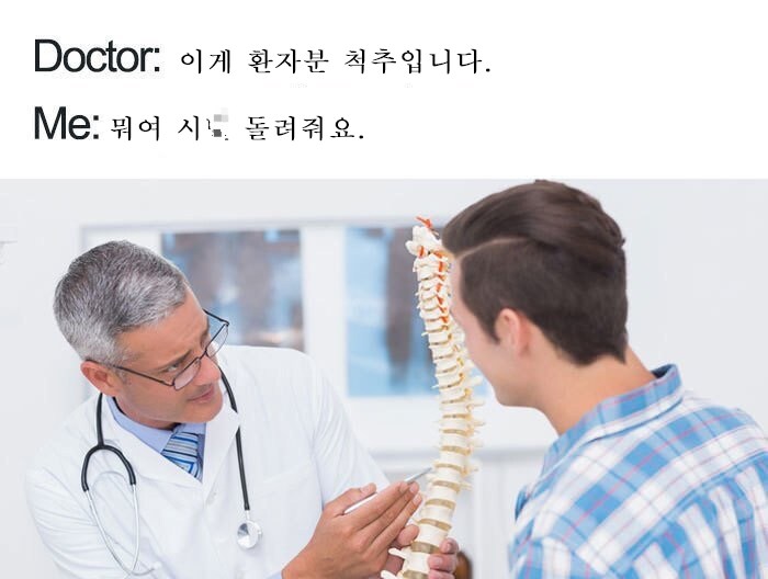 체코군이 K-9 자주포 대신에 선택한 세자르 자주포 근황._8.png