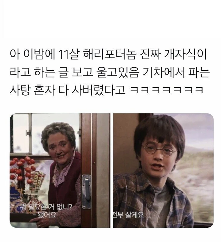 해리포터) 해리가 호그와트 첫날부터 유명해진 이유_1.webp