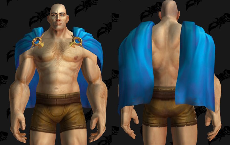 와우 8월 교역소 공개되지 않은 모든 아이템 모음_14.png