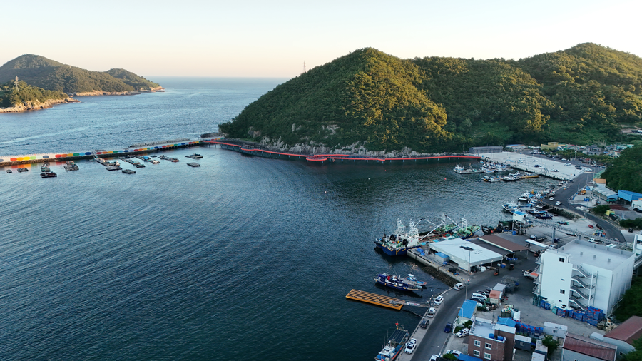 드론) 갈매기들한테 뇌물 줬다_2.webp