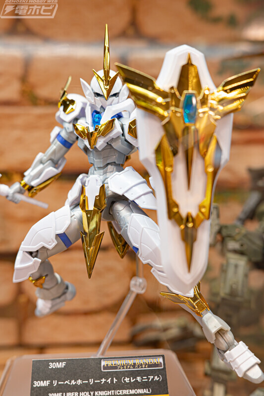 30MF) 아니 시발 홀리나이트 한정판 ㅋㅋㅋㅋㅋ_2.jpg