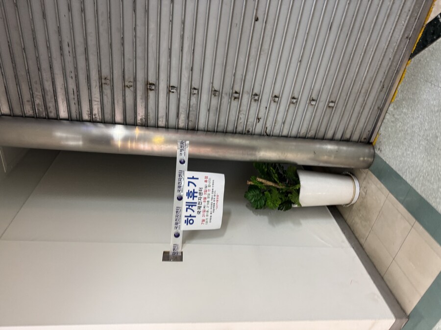 버튜버) 나도 홀로화투 인증!_2.jpg