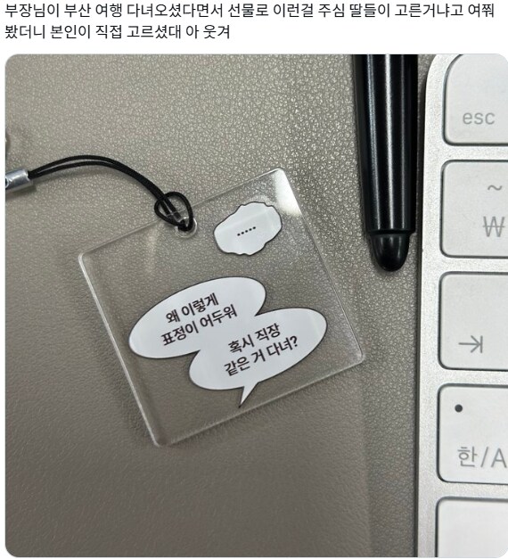 부산여행 다녀온 부장님의 선물