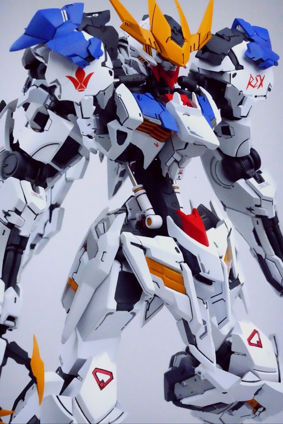 MG 발바토스 루프스 렉스 컨버전_1.jpg