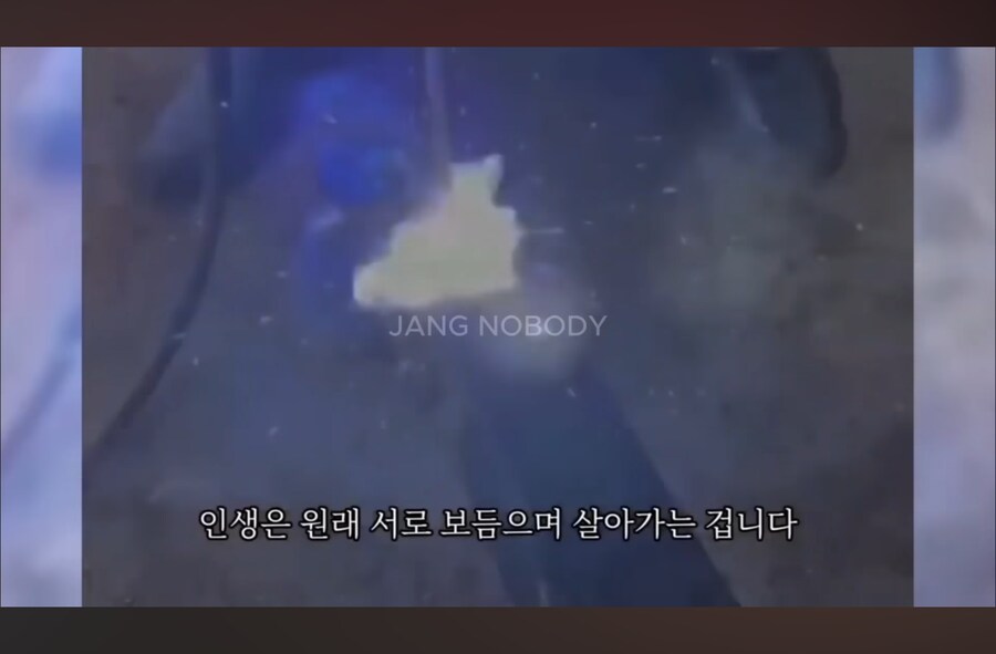 장아무개) 그..비드라는게 용접할때 만능 물질 같은거임?.._3.png