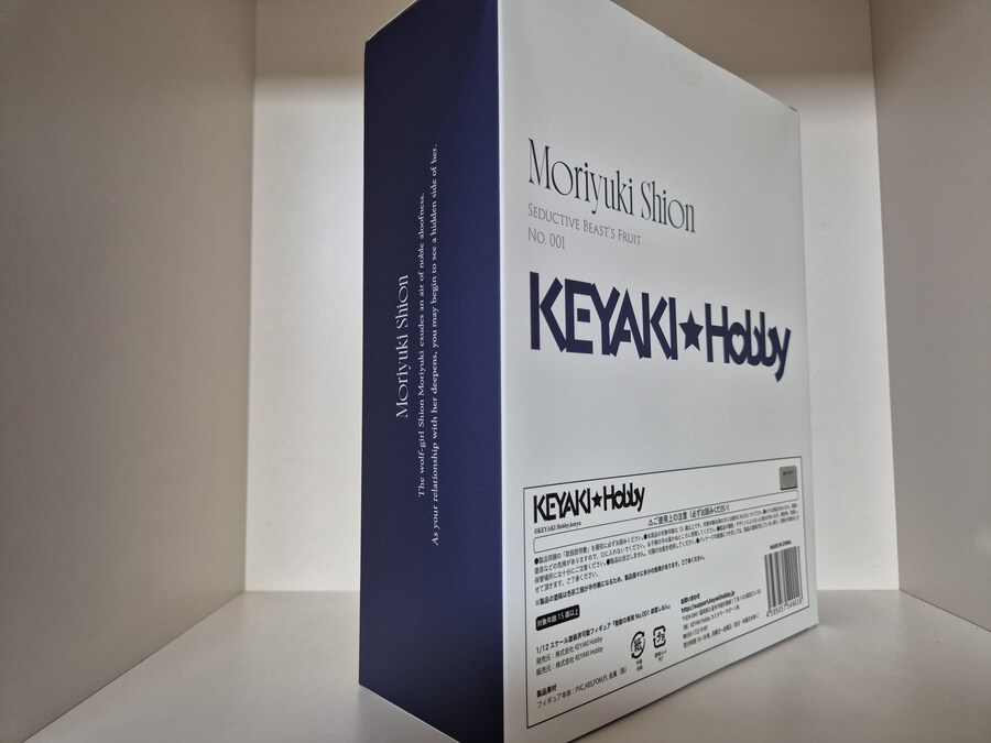 세상에서 제일 건전한 피규어 리뷰 [모리유키 시온]_2.jpg