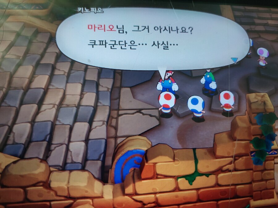 마리오)쿠파군단 복지수준.jpg_1.jpg