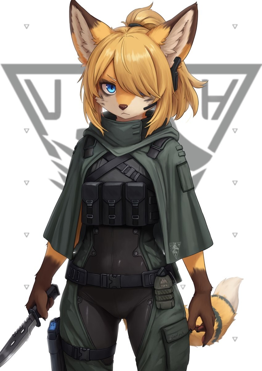퍼리_3.jpg