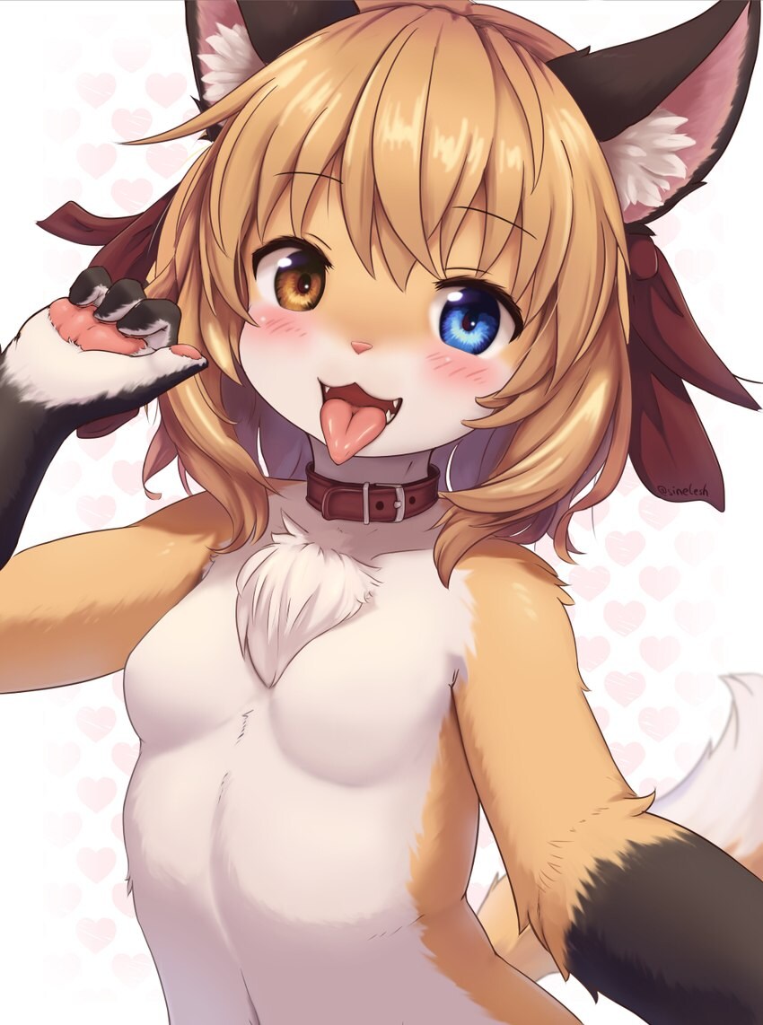 퍼리_5.jpg