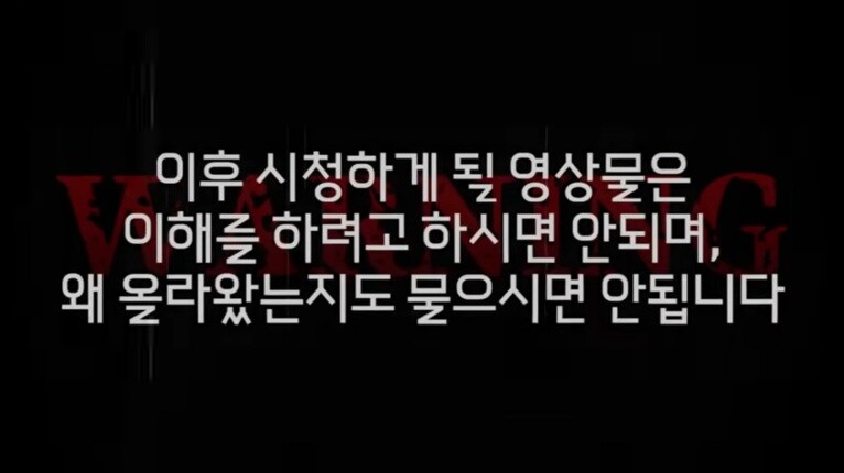 버튜버) 최애 버튜버 둘이 쌍으로 나오는데 대화 내용이 어질어질하다.jpg_2.jpg