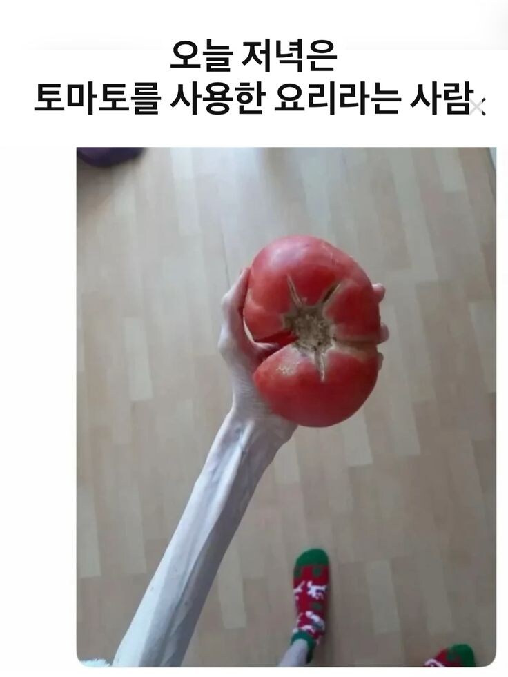 오늘 저녁은 토마토를 사용한 요리야!.jpg_1.jpg