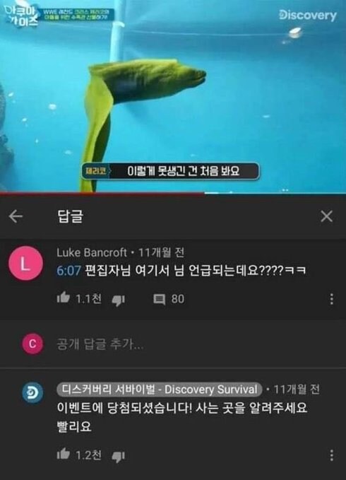 편집자님 여기서 님 언급되는데요????.jpg_1.jpg