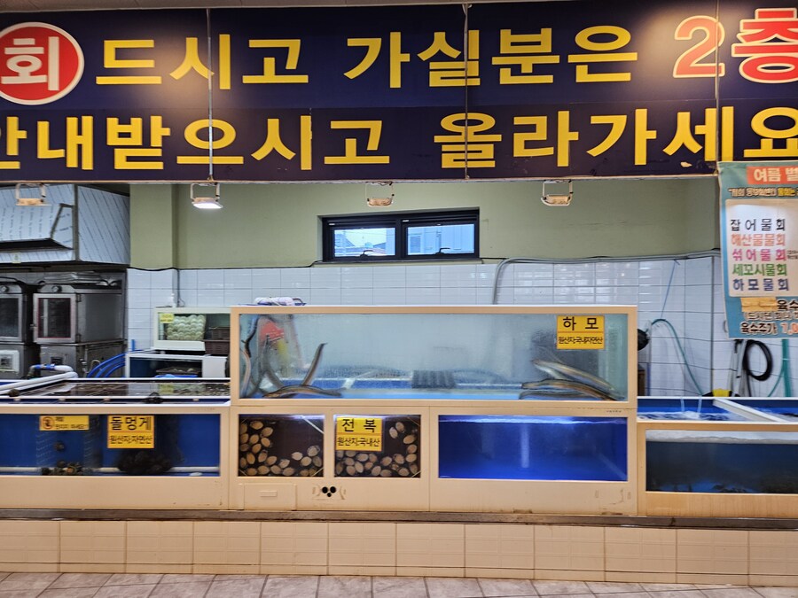 회 포함 수산물을 저렴한 가격에 먹을수 있는 경남 진해 동부회센타_4.jpg
