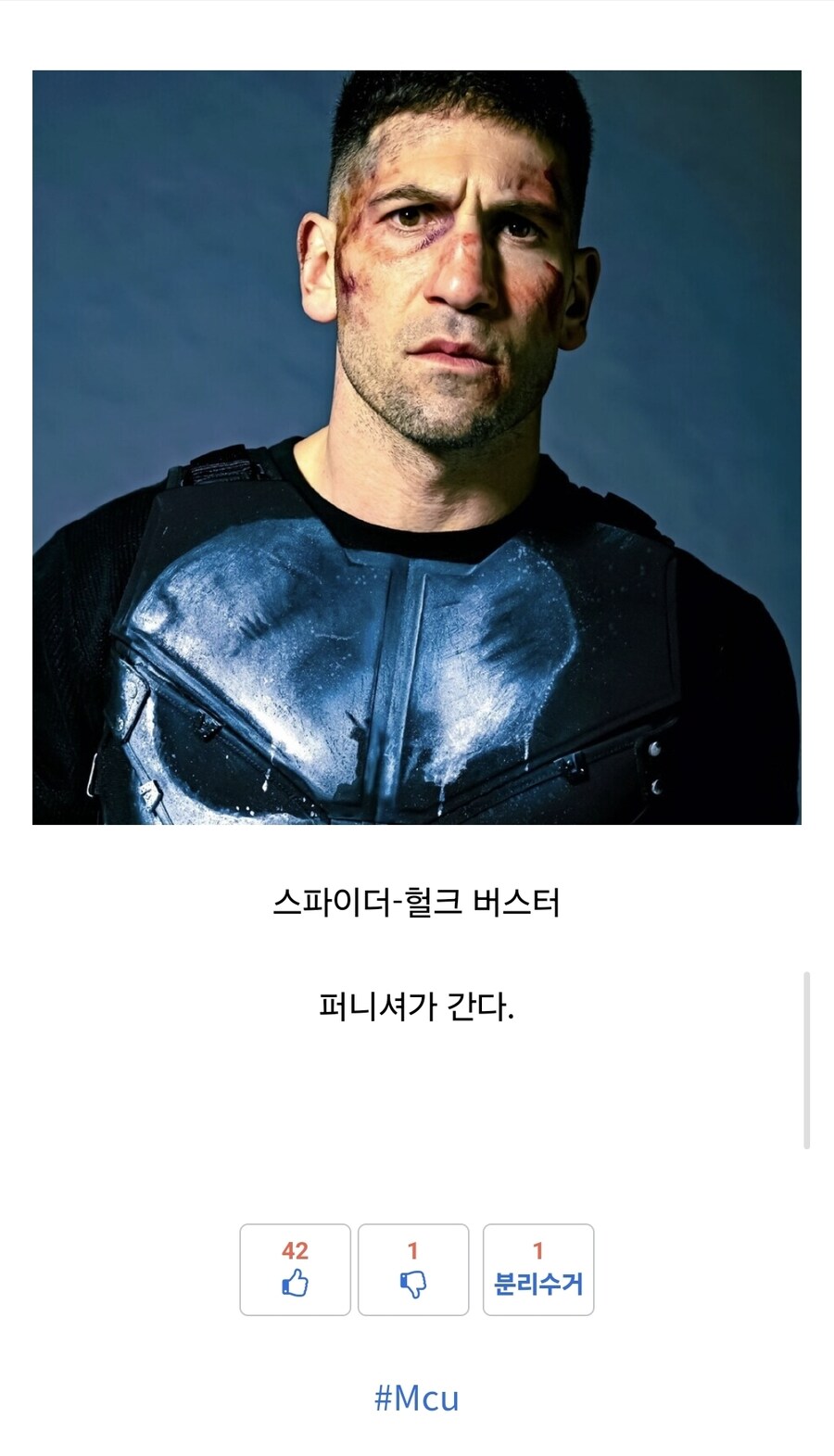 Mcu) 스파이더맨 팬덤은 악마임에 틀림없다._4.jpg
