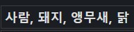 사람, 돼지, 앵무새, 닭_1.png
