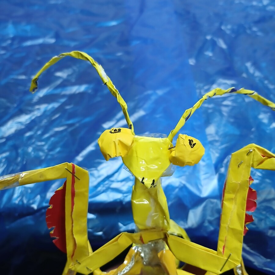 만들기) 황금 사마귀_2.jpg