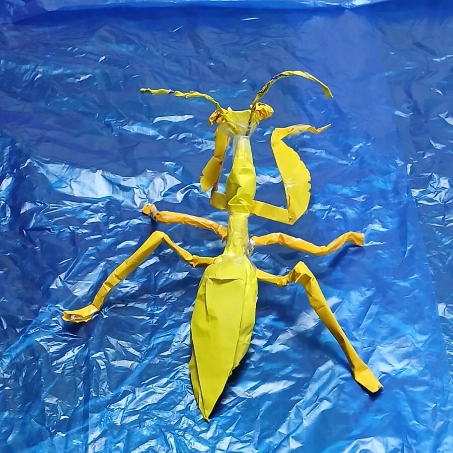 만들기) 황금 사마귀_3.jpg