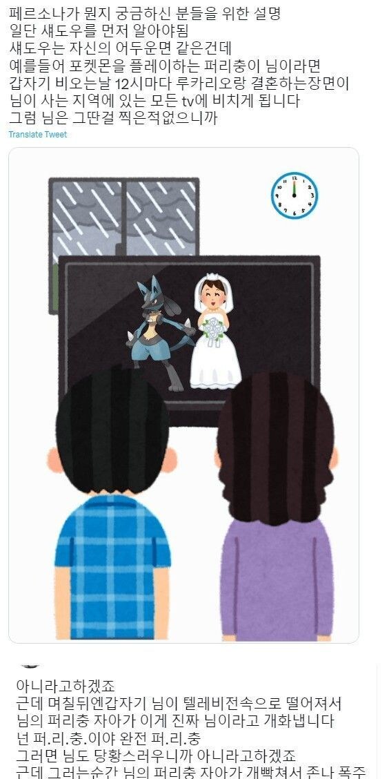 페르소나가 뭔지 궁금하신 분들을 위한 설명.jpg_1.jpg