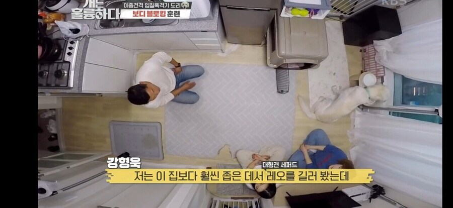 전원주택에서 개를 키우는 것에 충고하는 강형욱._53.jpg