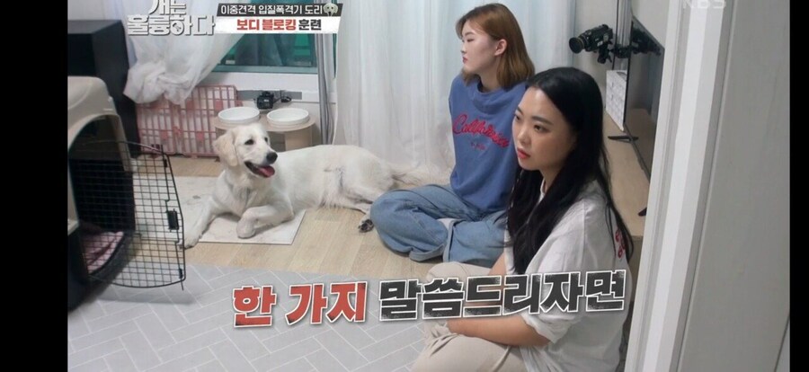 전원주택에서 개를 키우는 것에 충고하는 강형욱._56.jpg