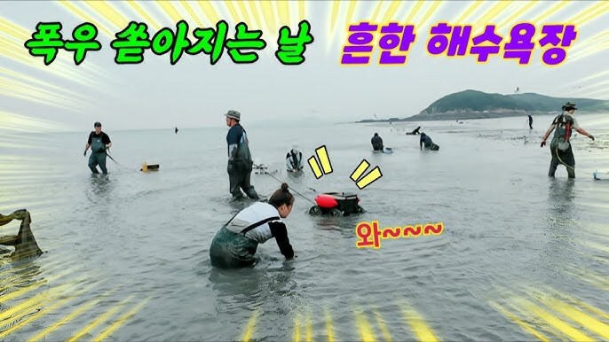 뉴스) 이번주 바다 놀러가는 사람 특징_2.jpg