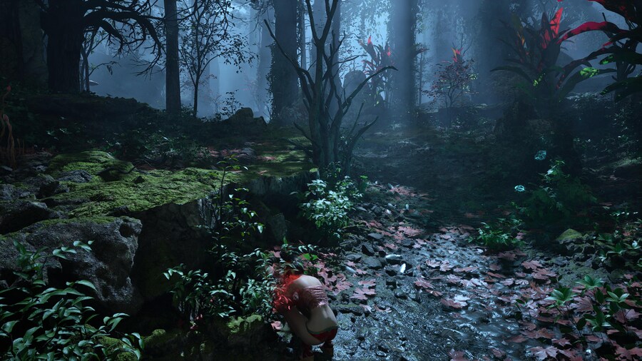 명말 공허의 깃털 - 오늘의 사진 모음_3.jpg