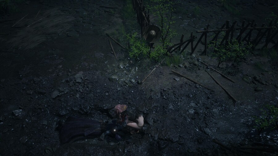 명말 공허의 깃털 - 오늘의 사진 모음_13.jpg