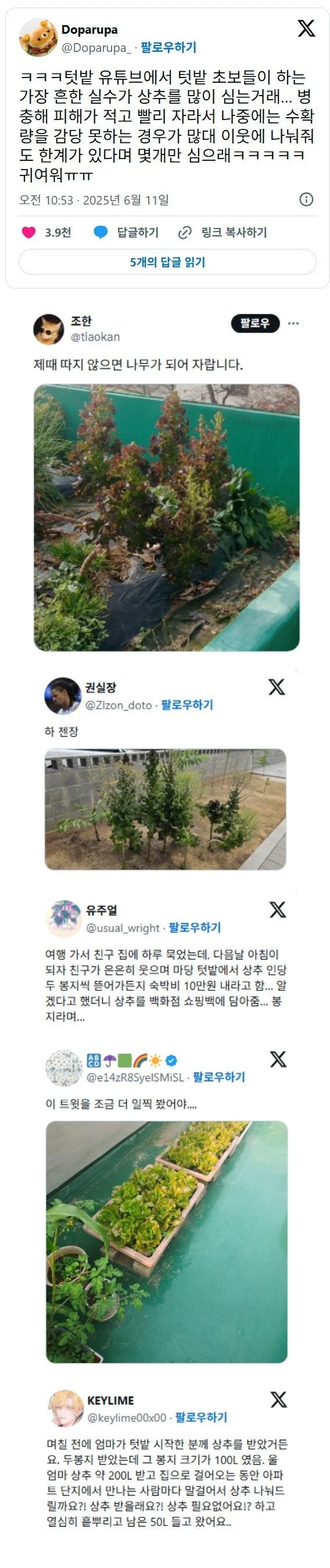 텃밭 초보들이 가장 많이 하는 실수_1.webp