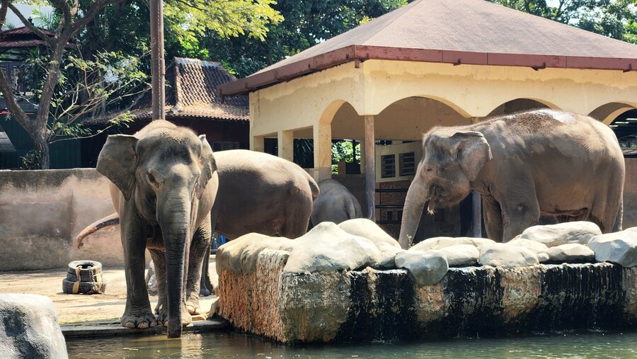 [스압]인도네시아의 경주 족자카르타 여행기-1_44.jpg