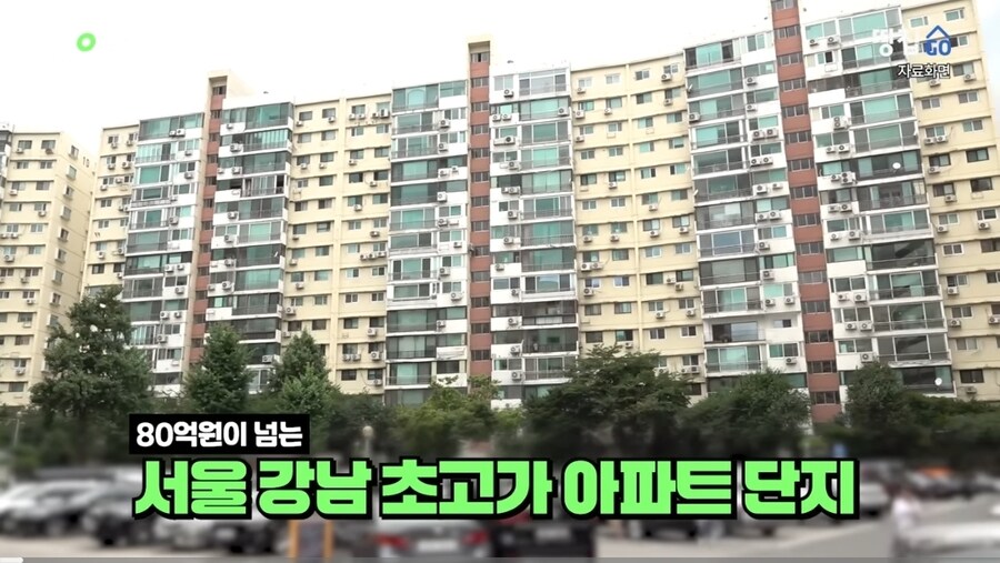 쥐 때문에 난리난 강남 아파트_1.jpg