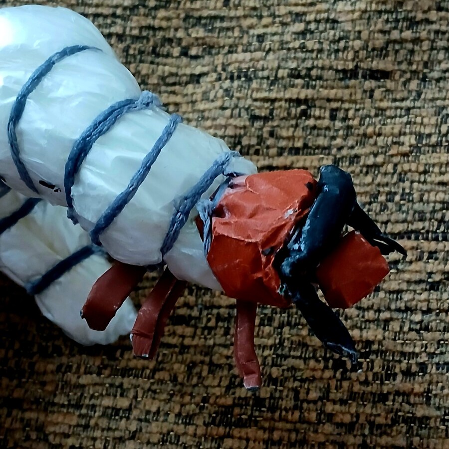 만들기) 사슴벌레 유충_5.jpg