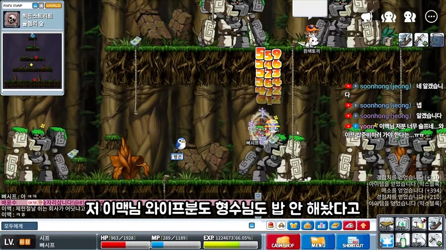 유튜브) 어떤 옛날 메이플 유튜버의 뒷광고 합리적 의심_6.png