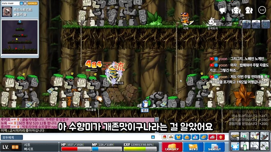 유튜브) 어떤 옛날 메이플 유튜버의 뒷광고 합리적 의심_28.png