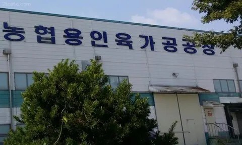 식인이 일상적이었던 나라 코리아_1.jpg