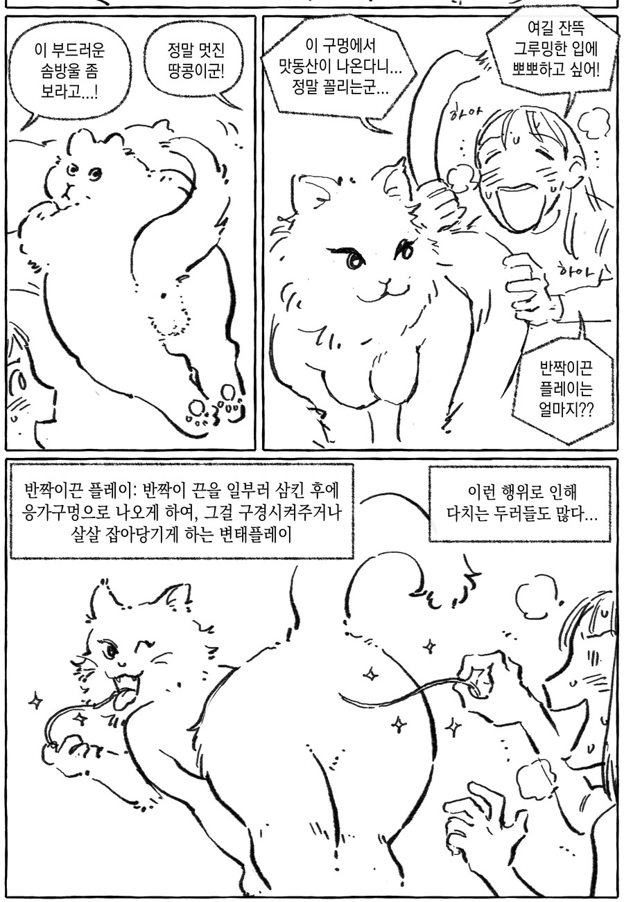 고양이 사창가.manwha_2.jpg