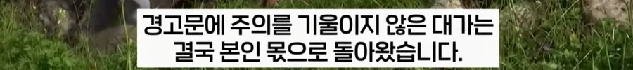 가지말라는 곳을 기어코 등산하다 조난당한 등산객, 수천만원 청구서 받아._13.png