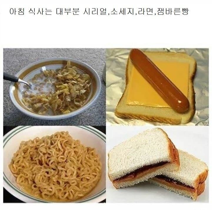 미국 하층민의 삶 요약_4.jpg