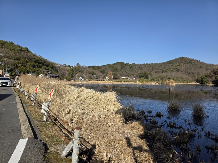 교토 갔을때 찍은 심령스팟 미도로가이케 습지_11.jpg