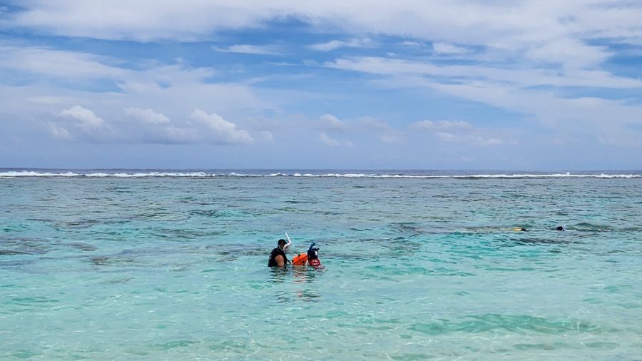 Resized_mitene1e87e446-0a69-4ee5-a606-713aeac7ce8a (1).jpeg