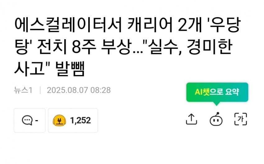 에스컬레이터 여행용 캐리어 사고