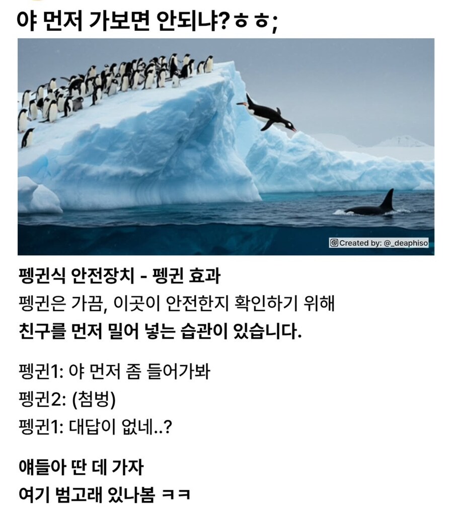 펭귄식 안전장치.jpg_1.jpg