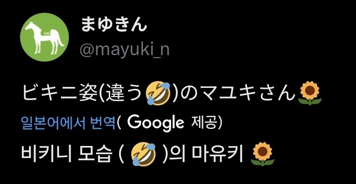 비키니 입은 말(horse)._2.jpg