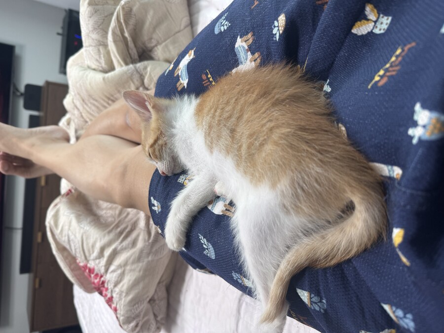 짭수냉카드 성능_2.jpg