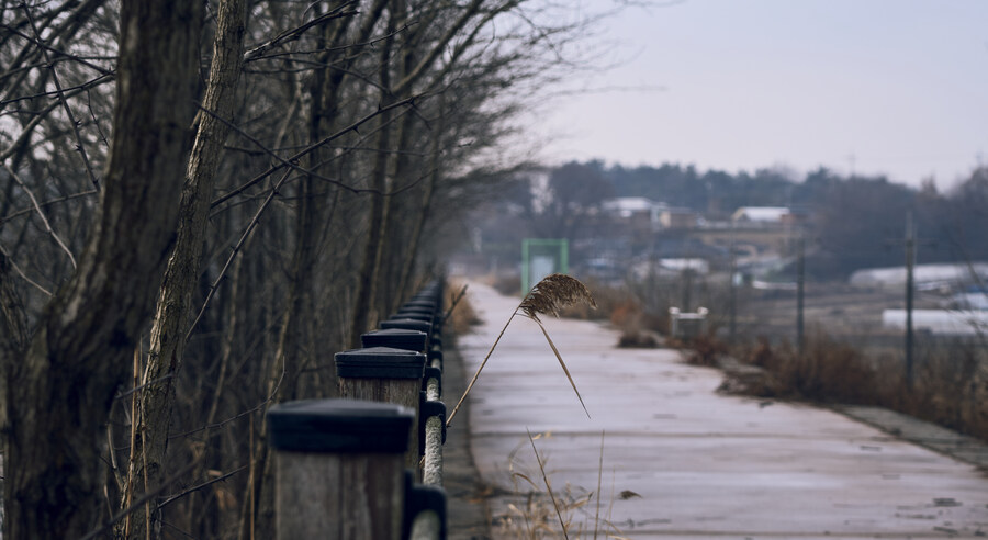 사진] 내가 찍은것들 올려봄_1.jpg