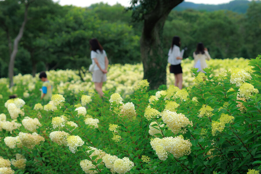 송당 동화마을_6.jpg